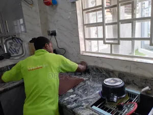 Cleaning Expert