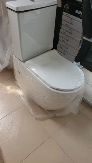 Water Closet Toilet