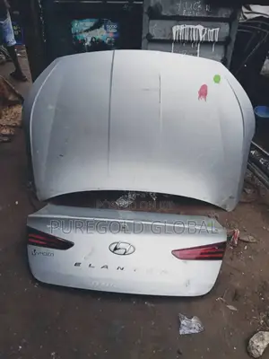 Elantra 2017 Booth and Bonnet Available