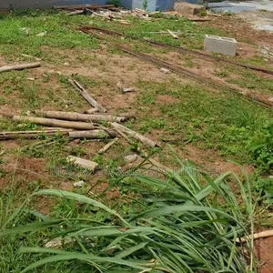 1000sqm Waterfront Land
