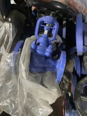 Dn80 Spirex Saco Valve Pn40