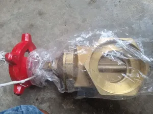 4"Inch Brass Gate Valve