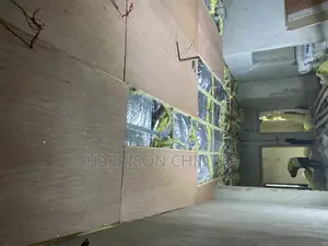 Club Ceiling Sound Proofing Padded