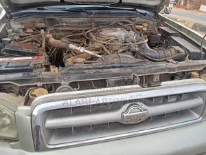 Nissan Pathfinder 2003 Gold