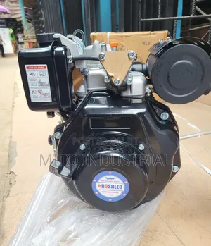 Boshleo 4-Stroke Single-Cylinder Diesel Engine