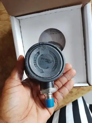 Ashcroft Digital Pressure Guage