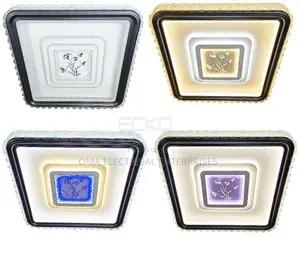 Ceiling Lights