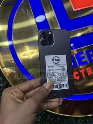 Apple iPhone 12 Pro Max 256 GB Black