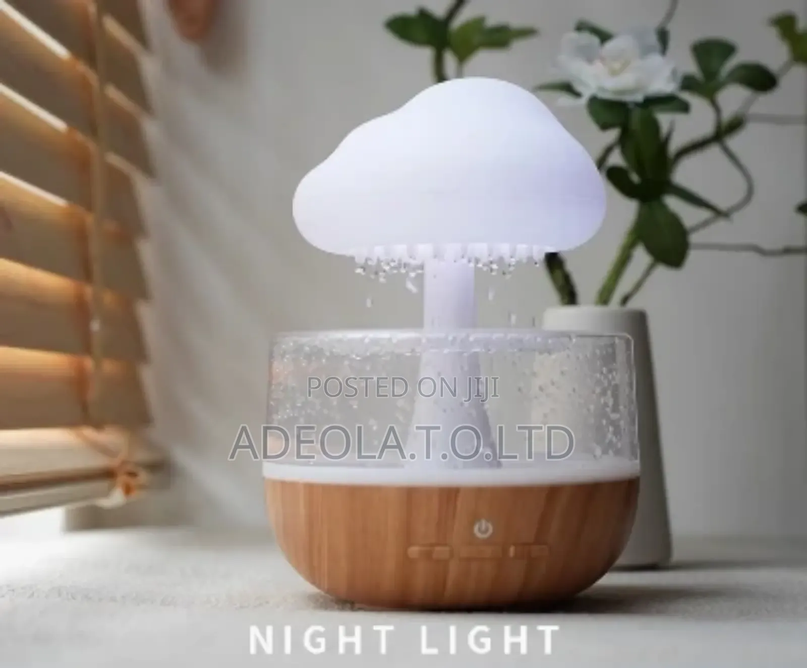 Cloud Rain Humidifier