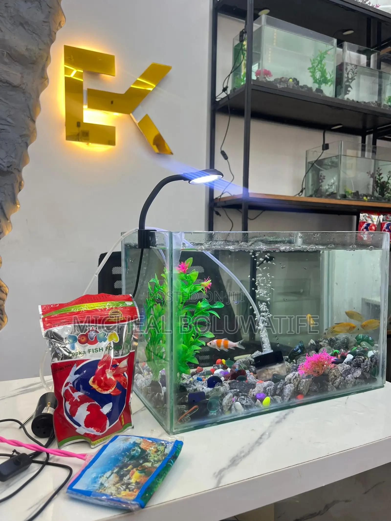 Aquarium Fish