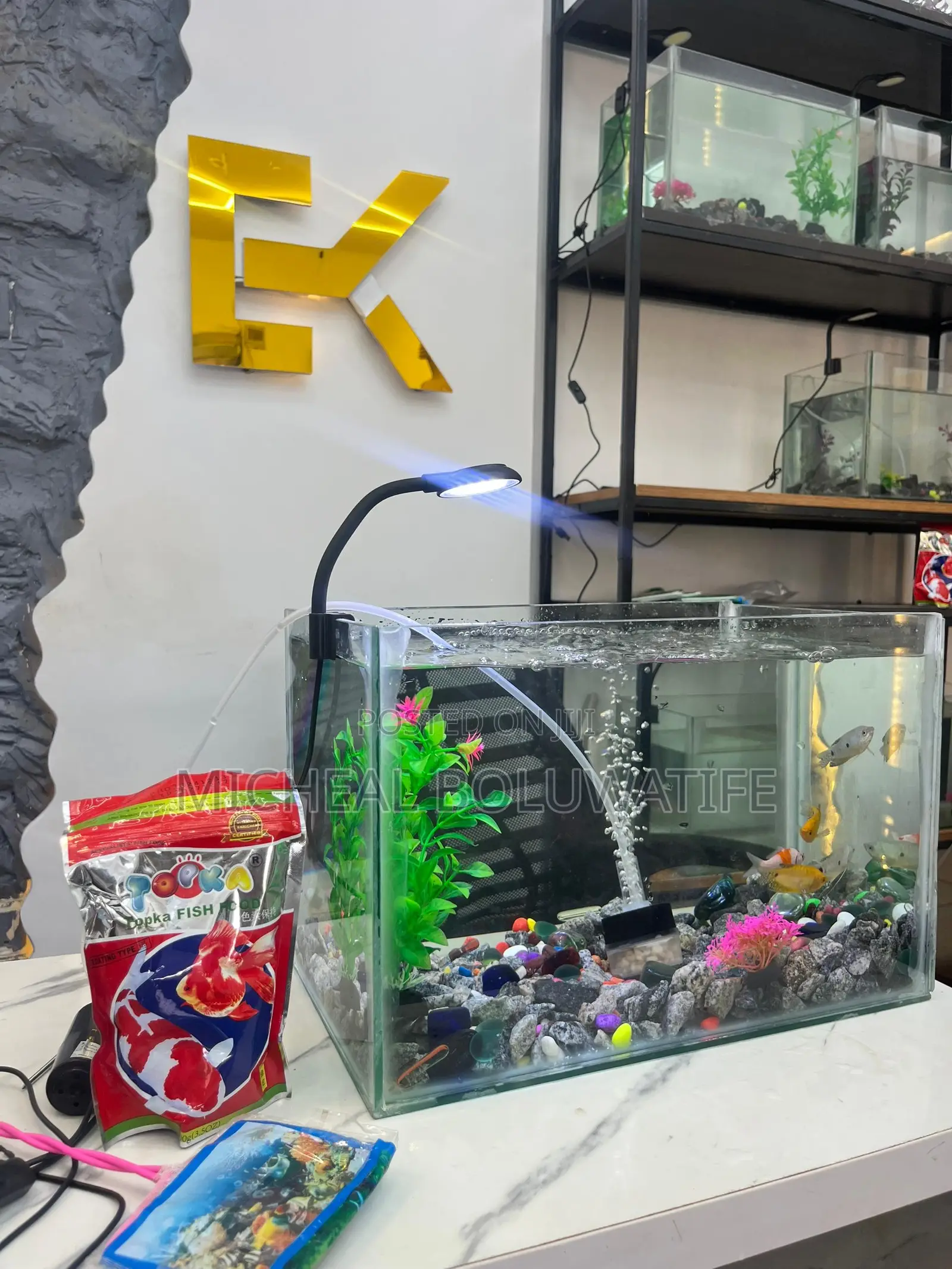 Aquarium Fish