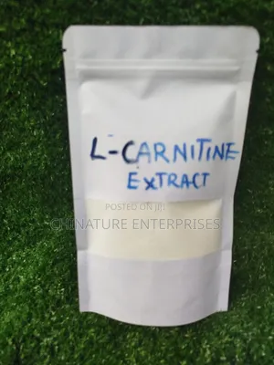 L Carnitine Extract 100gm