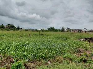 80ft by 27ft Plot Ikotun Iguando Rd in a Good Street