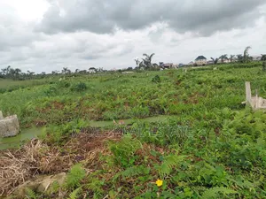 22ft by 80ft Plot Ikotun Iguando With Fence