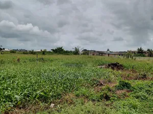Quater Plot Ikotun Iguando Road Close to Bustop