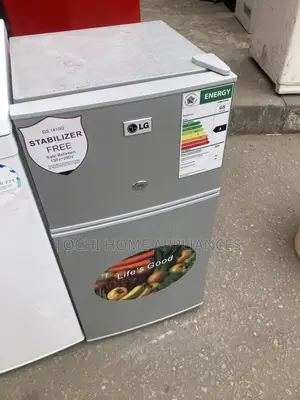 Clean Double Door Fridge and Freezer