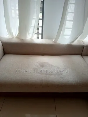 Professional Sofa Cleaning Service–Make Your Furniture Look New Again