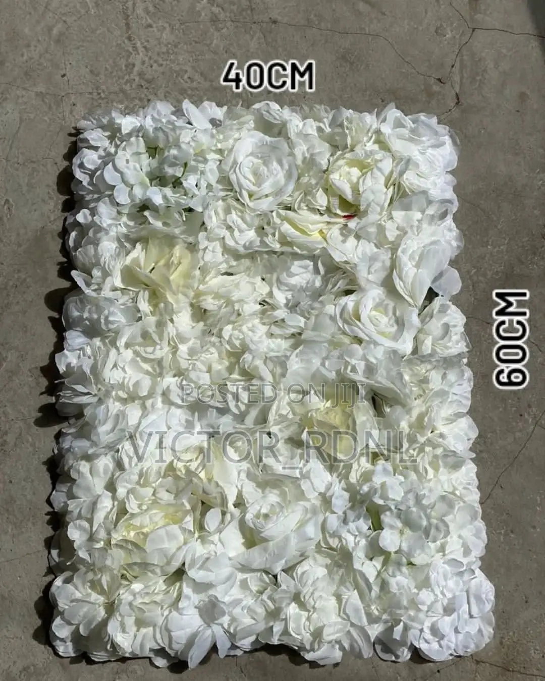 White Flower Mat Plant Available in Bulk Designs