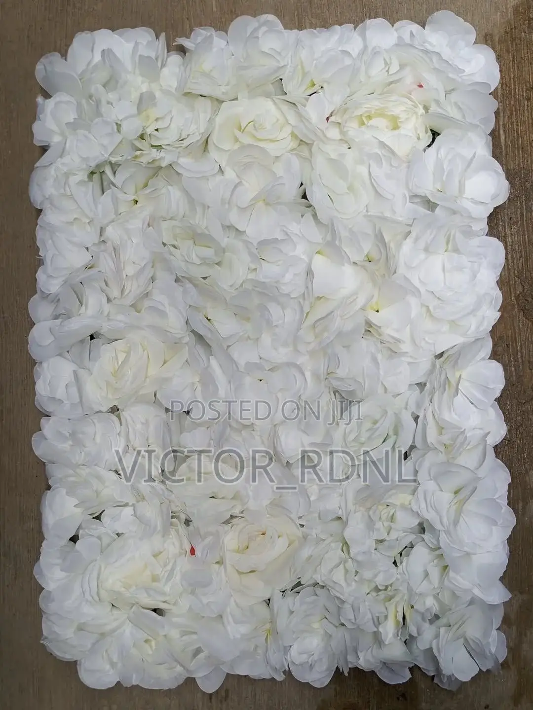 White Flower Mat Plant Available in Bulk Designs
