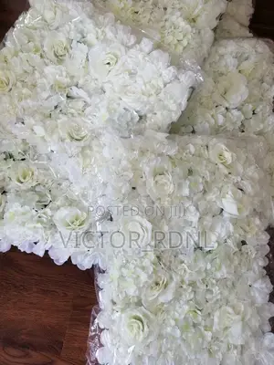 White Flower Mat Plant Available in Bulk Designs