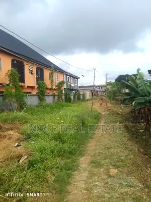 2 Plots of Land Akenson Near Iguando With Foundation