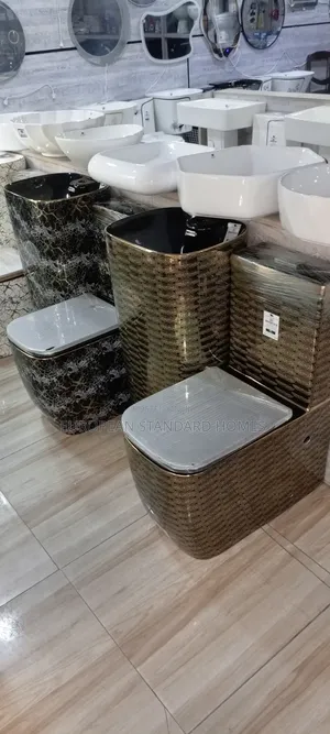 Luxury Bathroom Toilet