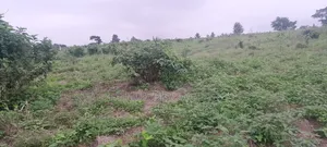 Plots Of Land At Ido