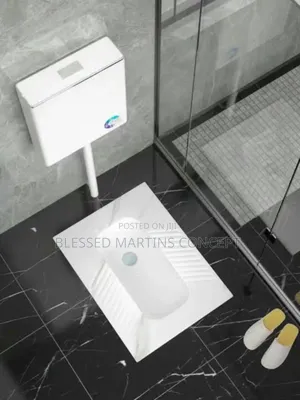 Plastic Squatting Pan With Top Flush Tank