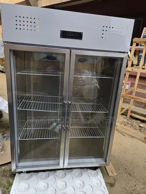 Industrial Double Door Stainless Display Freezer