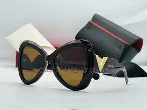 Valentino Quality Luxury Ladies Sunglasses