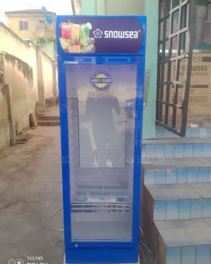 300l Snowsea Display Upright Chiller Freezer