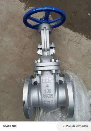 4" Mild Steel Gate Valve and Butterfly Valve