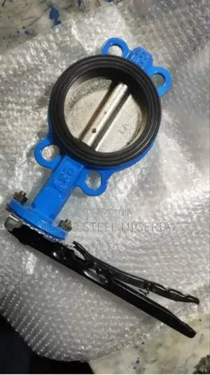 Stainless Steel Flange and Butterfly Valve