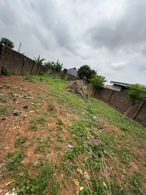 Dry Virgin Land for Sale
