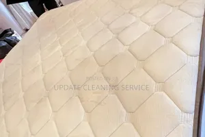 Professional Deep Cleaning Upholstery Cleaning Services in Lagos