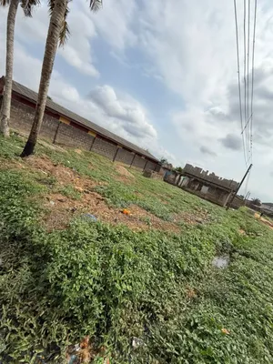 Land for Sale at Ayobo Lagos.