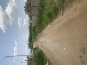 Plot of Dry Land Half and Full Plot