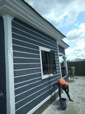 A Professional Painter