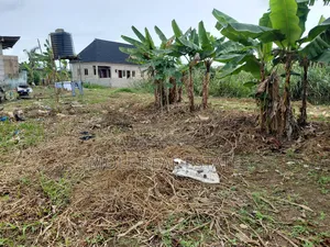 2 Full Dry Plots Opp Adexon Ilado by Value Paint Iguando Alimosho