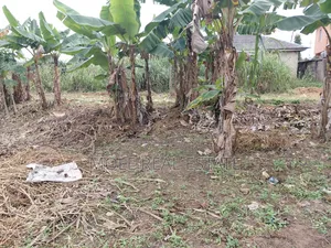 A Plot of Land Opp Adenxon Iguando by Value Paint Alimosho