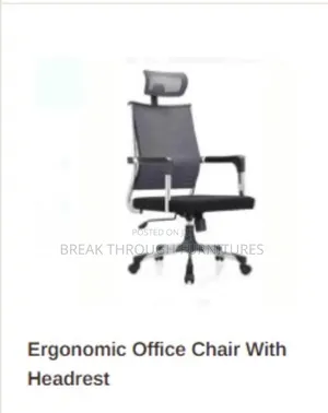 Ergonomic Chairs