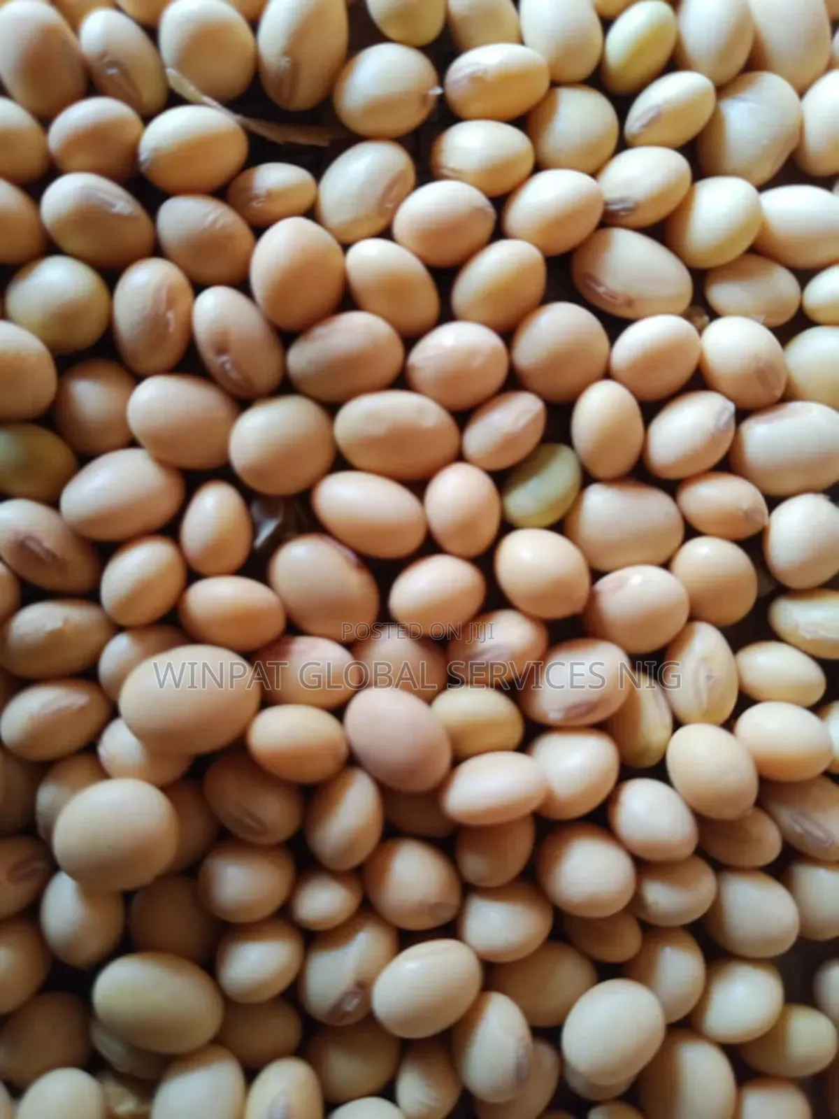 Soya Beans (Machine Cleaned)