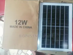 12w Panel With Charging Wire