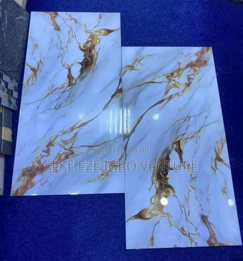 Original Porcelain Floor Tiles