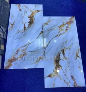 Original Porcelain Floor Tiles