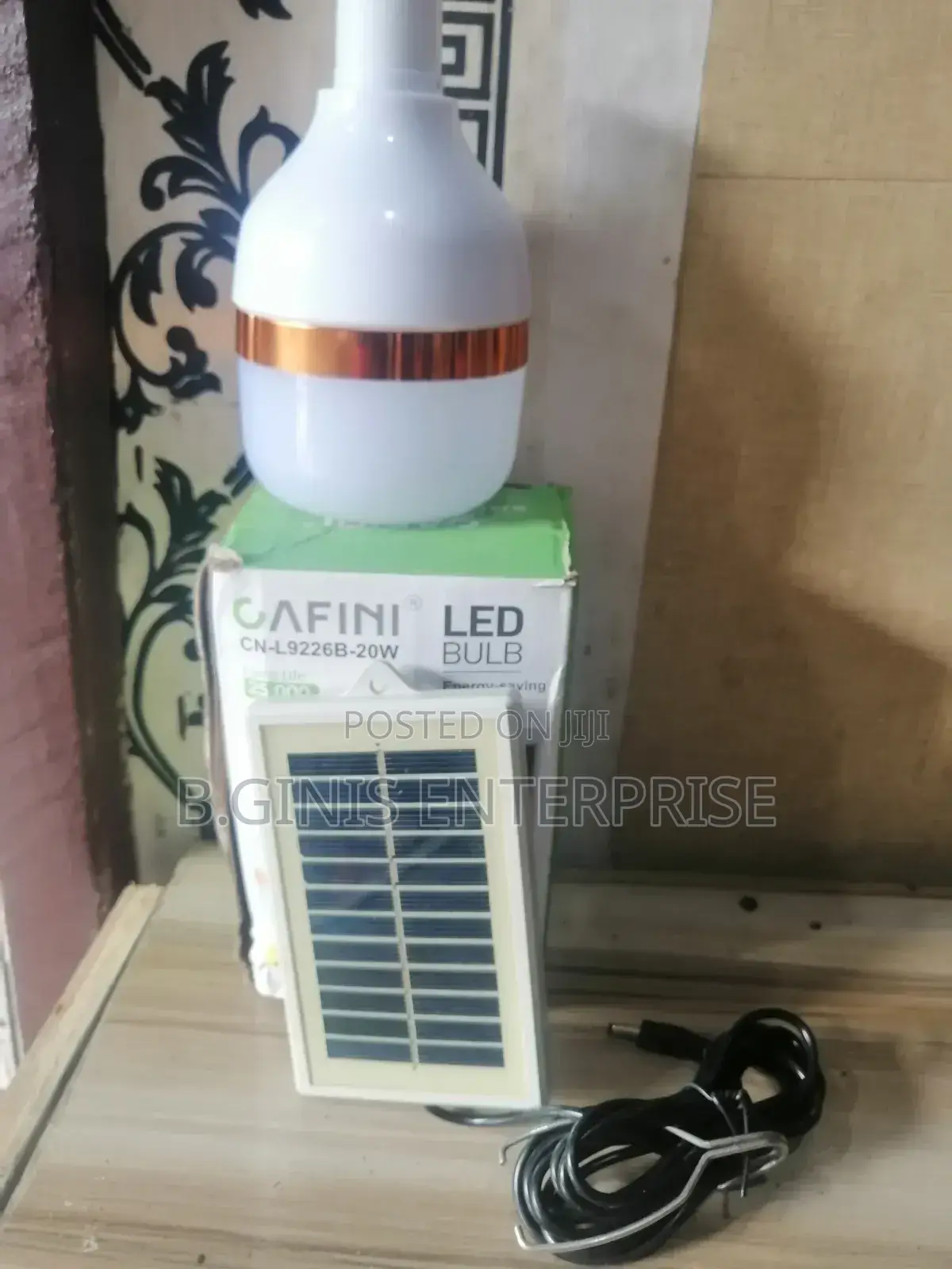 Solar Bulb With Its Panel