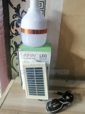 Solar Bulb With Its Panel