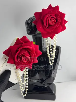 Luxury Earrings