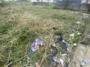 500sqm Fenced Land Off Fola Oshibo-Lekki Phase1 (G. Consent)