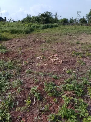 Two Separate Graded Plots of Lands